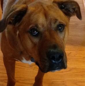 Meet your Posher, Lori